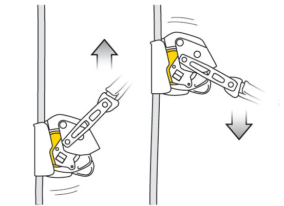 PETZL FALL ARRESTER ASAP® LOCK